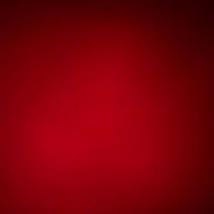 Meet your Posher, Brady